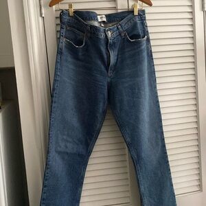 NWOT AGOLDE jeans, sz 29